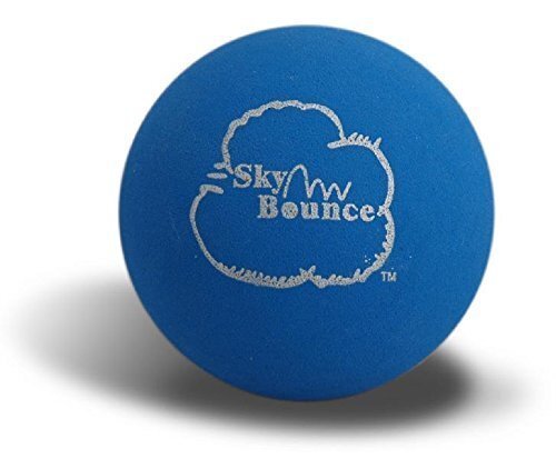 One Wall Handball by Sky Bounce