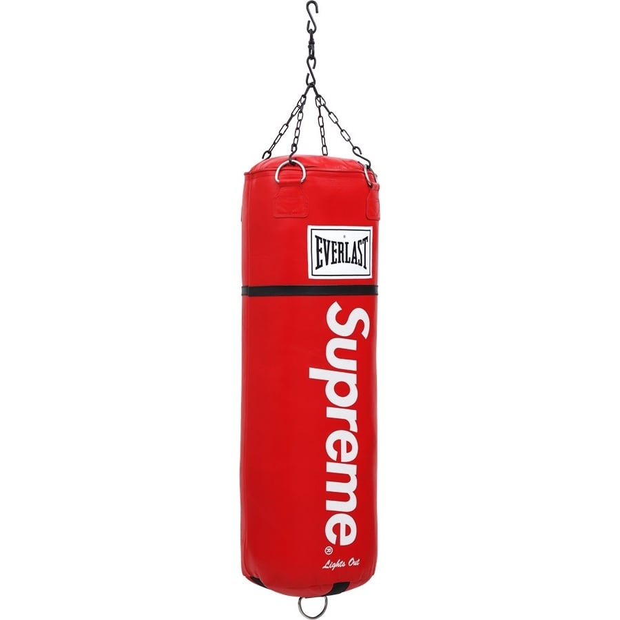 Supreme x Everlast Leather Heavy Bag