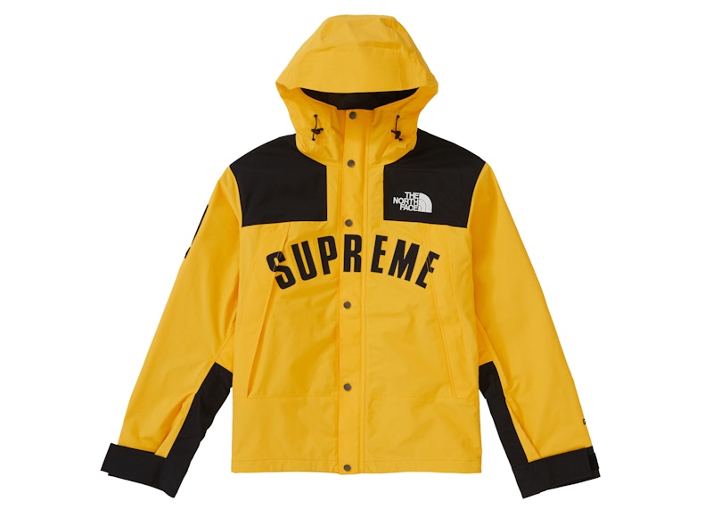 Supreme x The North Face Arc Logo Mountain Parka