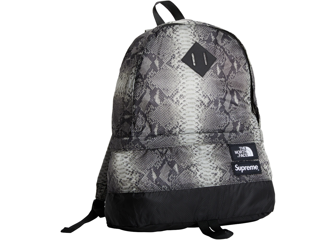 Supreme x The North Face Snakeskin Lightweight Day Pack