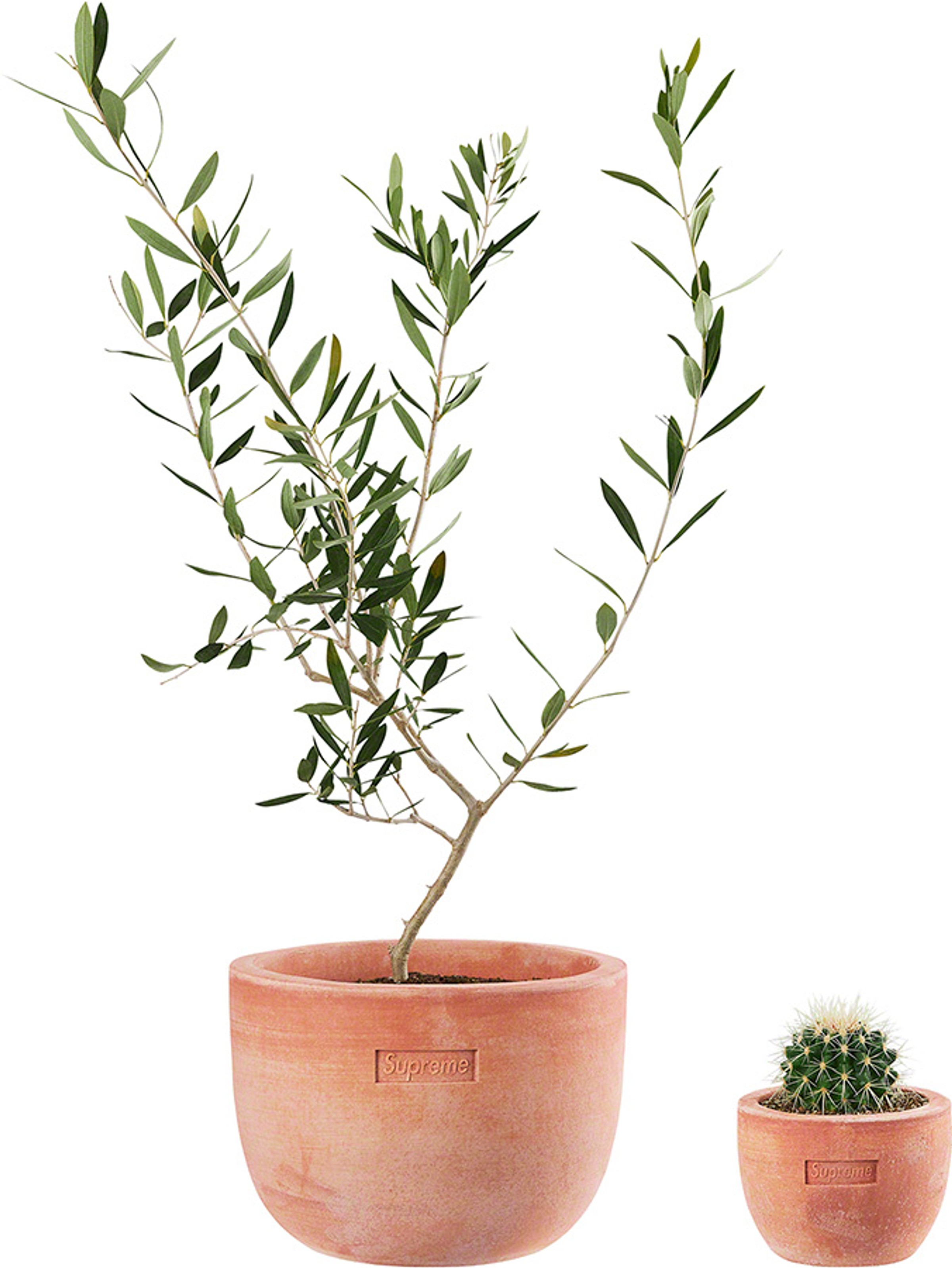 Supreme x Poggi Ugo Small Planter